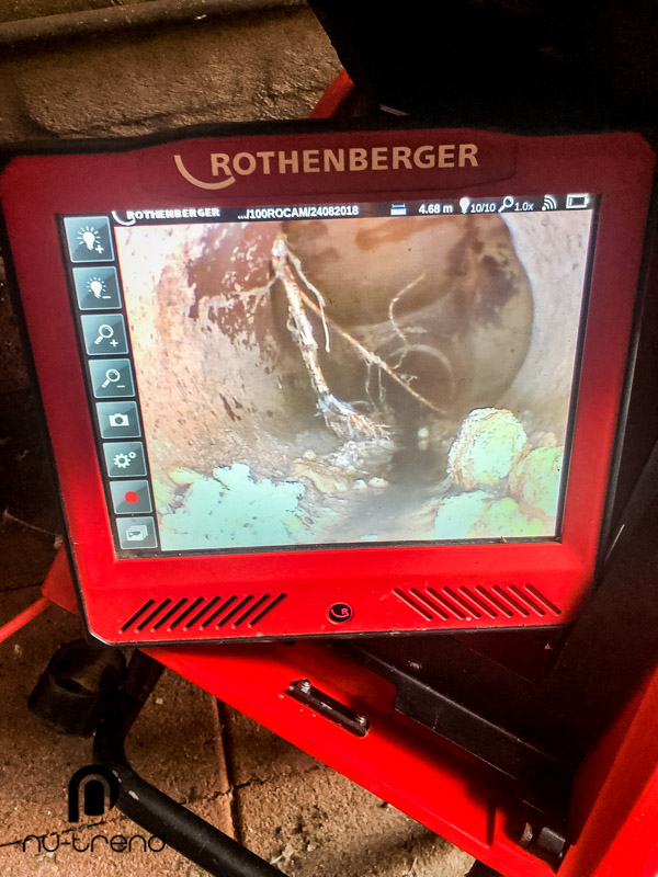 Blocked drains photo Plumber in Sydney unblocking drain from tree roots
