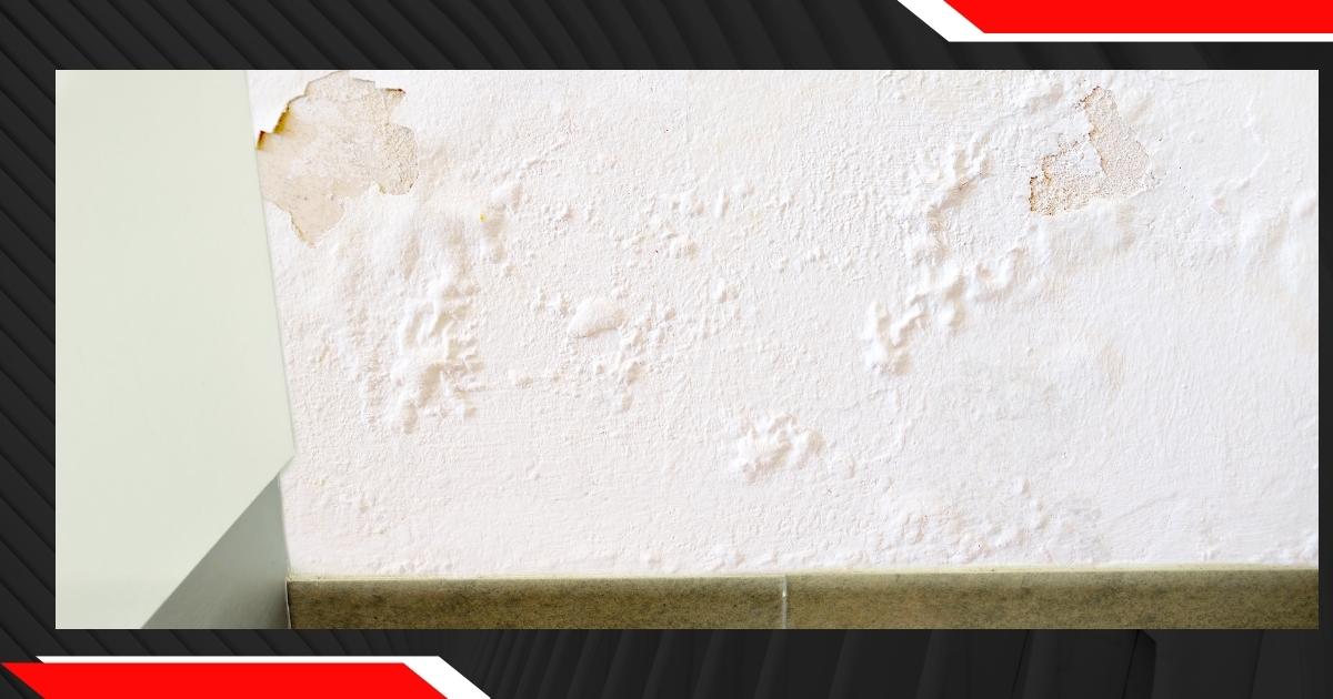 Leaky shower repairs for bathrooms in Sydney photo leaking-shower-repairs-when-paint-is-bubbling-on-the-wall