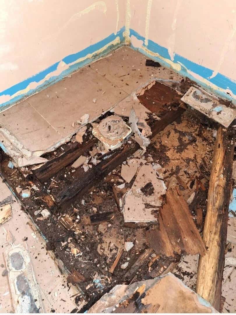 Yellow Tongue particle board under a shower that was leaking water