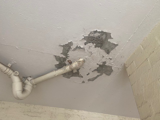Damage from incorrect Waterproofing in a bathroom renovation