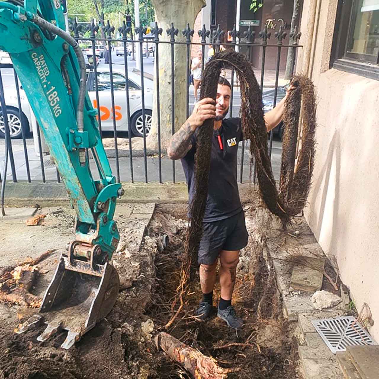Plumber holding up tree roots pulled out of blocked drain