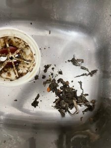 clogged answered drains