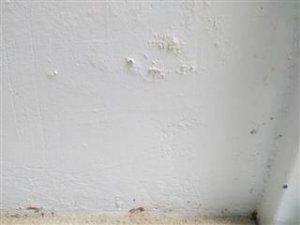 Why is the paint bubbling on your walls? What causes paint to bubble on a wall near a bathroom in an apartment
